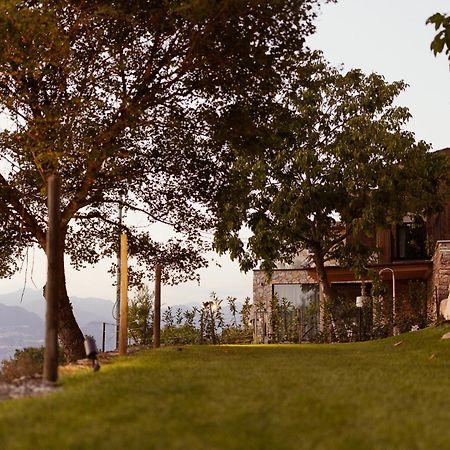 Favai Hills Your Secret Hideaway Бренцоне сул Гарда Екстериор снимка